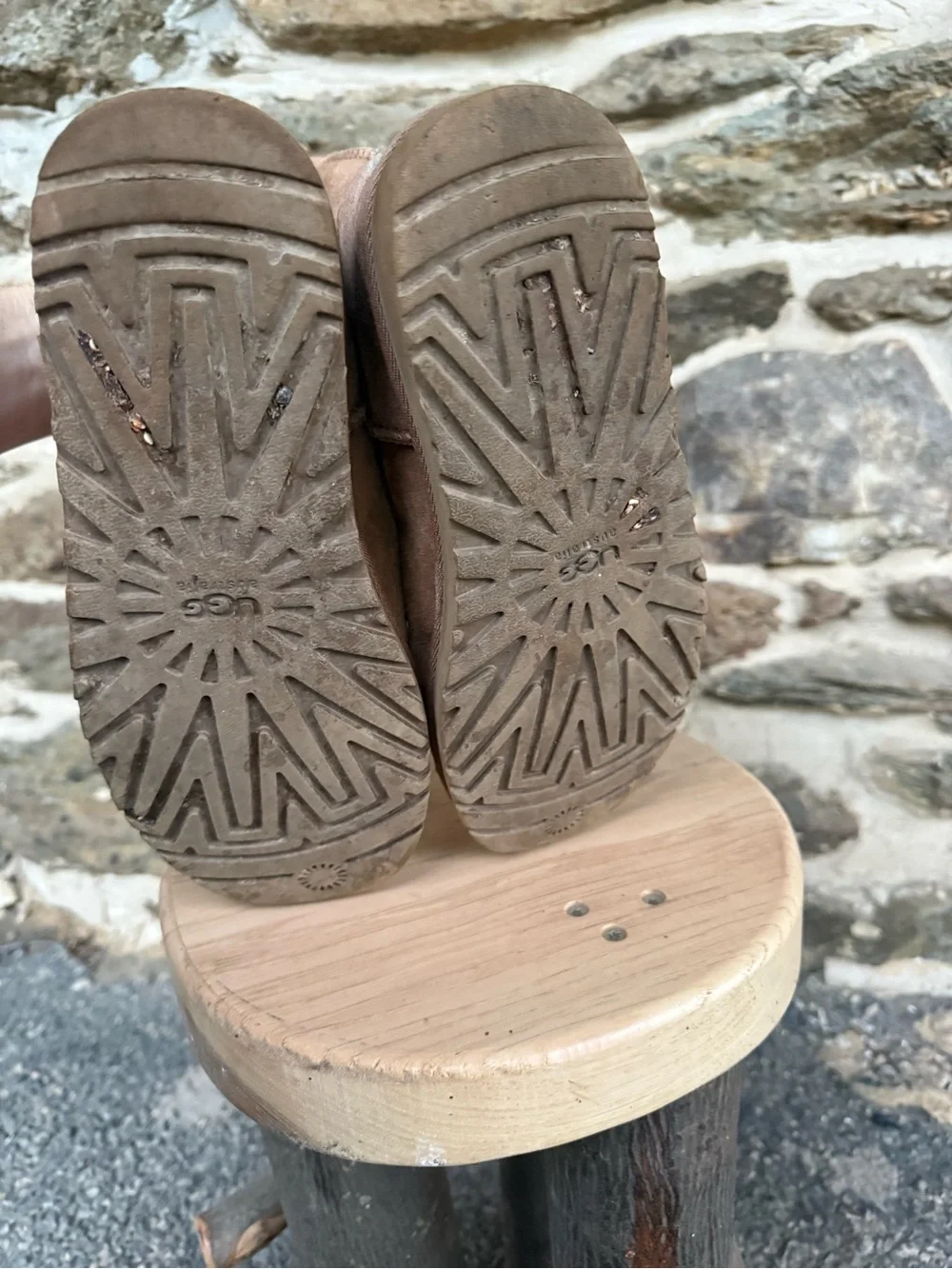 Women’s 7 Short Chesnut Uggs